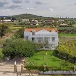 Yiota * Alykes (Zakynthos)